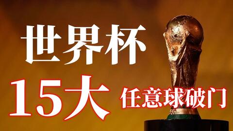 中国通过举